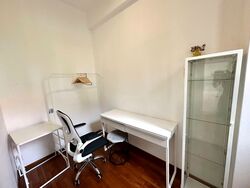 Holland Link (D10), Terrace #593005311